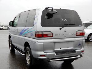 delica int